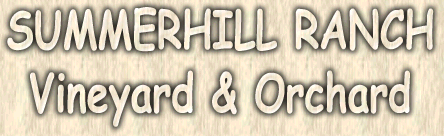 summerhill ranch